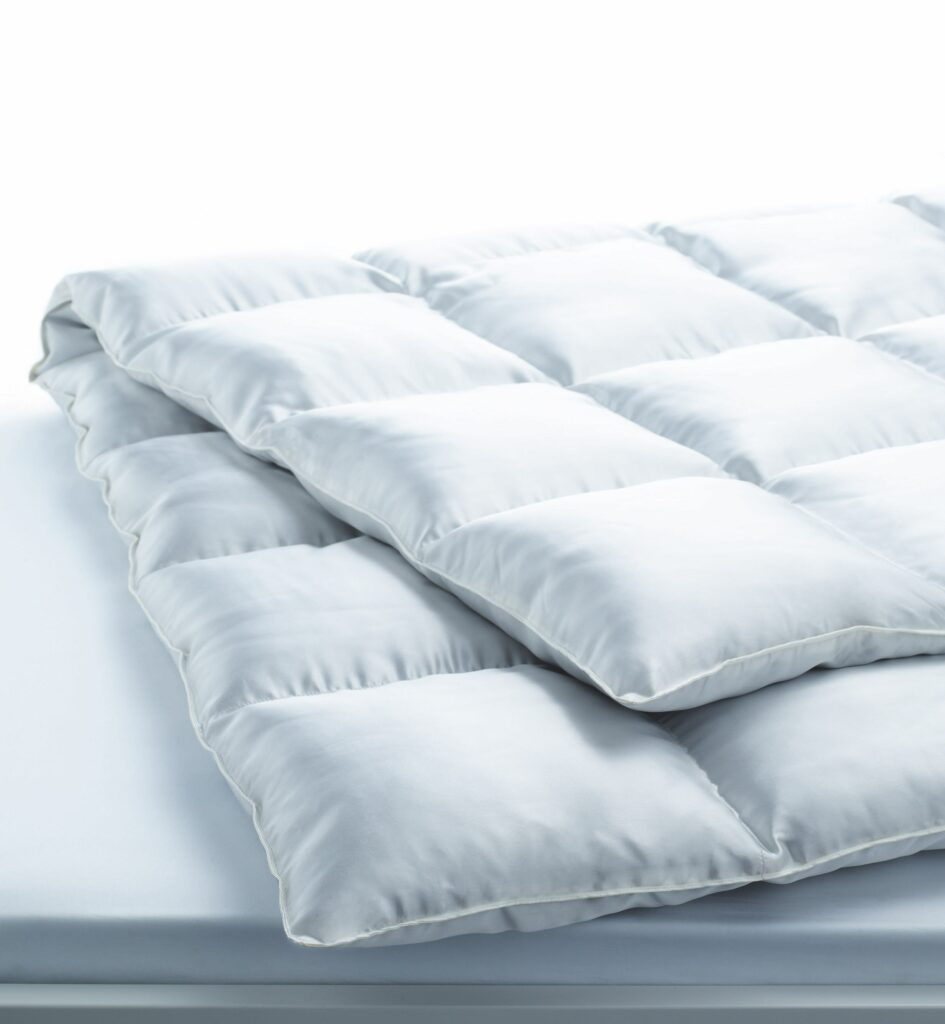 Eiderdaune aus Seide im Daunenspiel Online-Shop